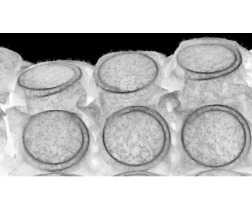 Materasso Altrenotti Infinity 10000 MicroMolle + Caucciù Pillow Top USA Cotone Makò H.30